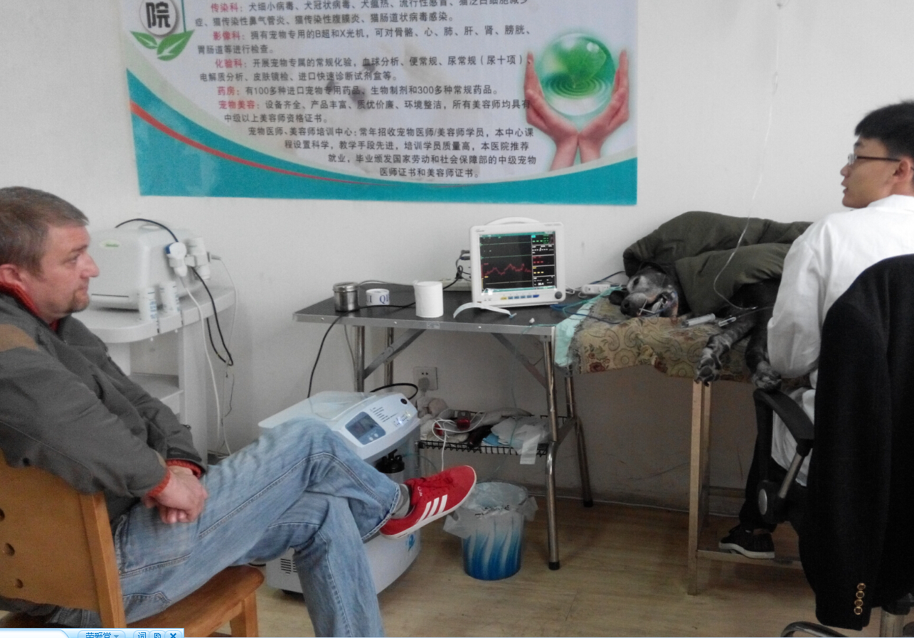心電圖、血壓檢查