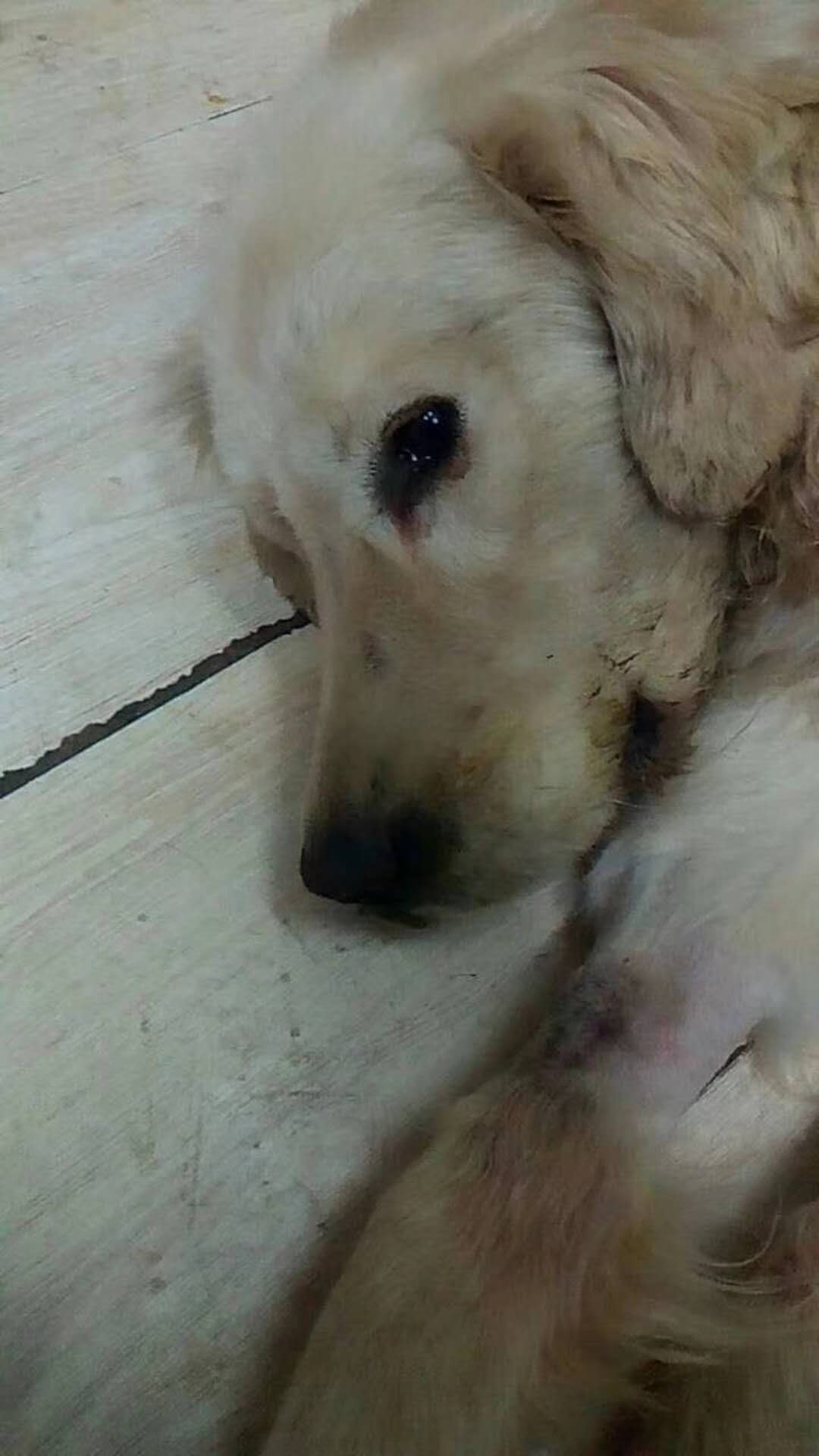 微信圖片_20180103091323.jpg