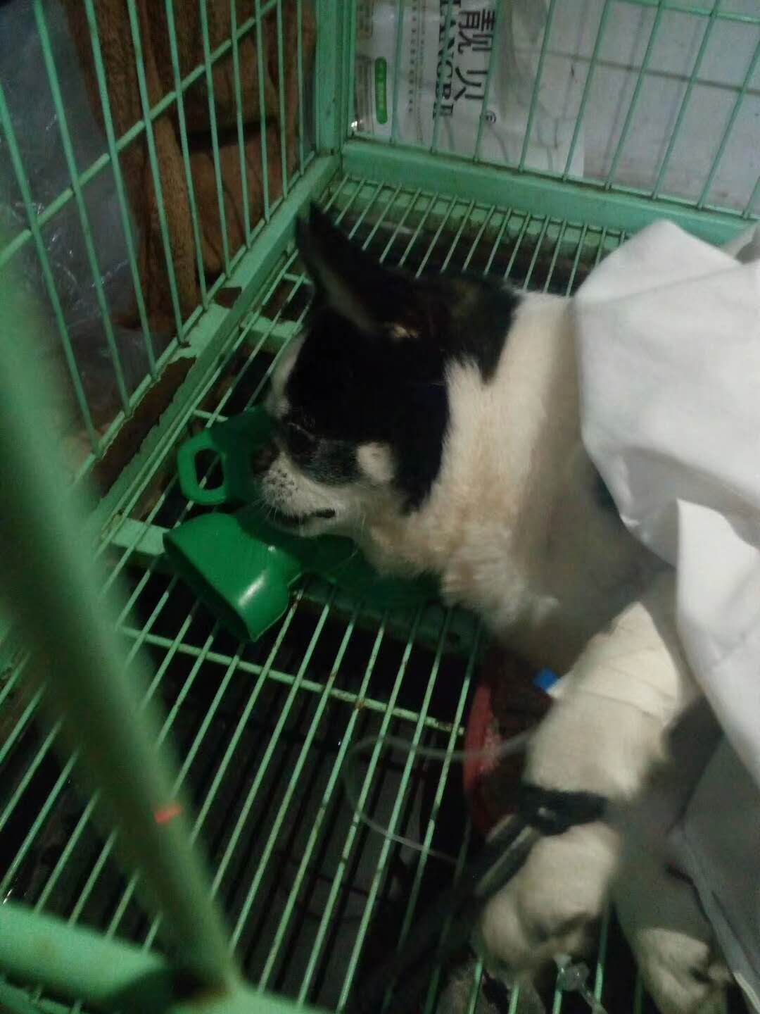 微信圖片_20180103092517.jpg