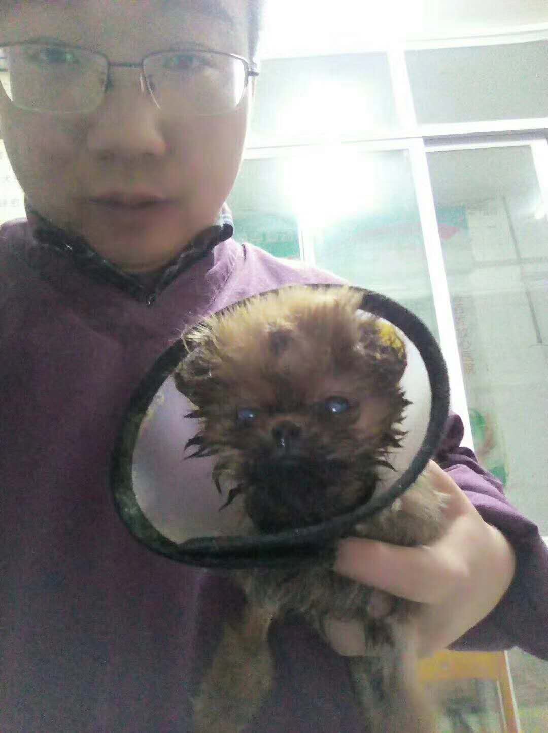 微信圖片_20180105155541.jpg