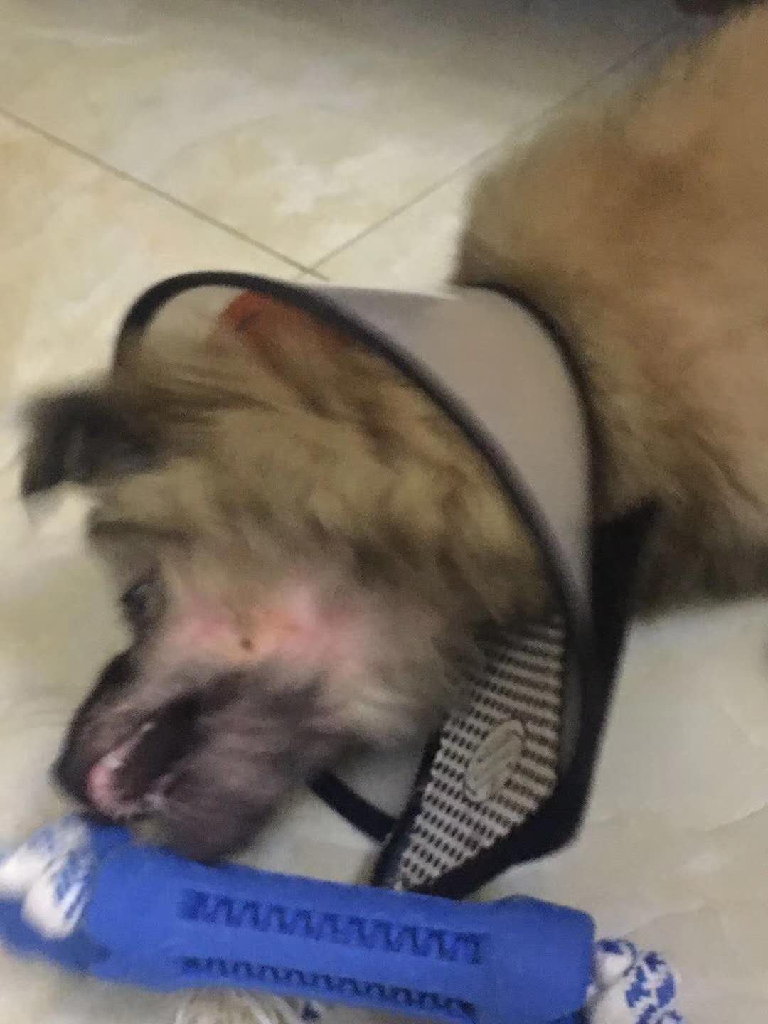 微信圖片_20180105160946.jpg