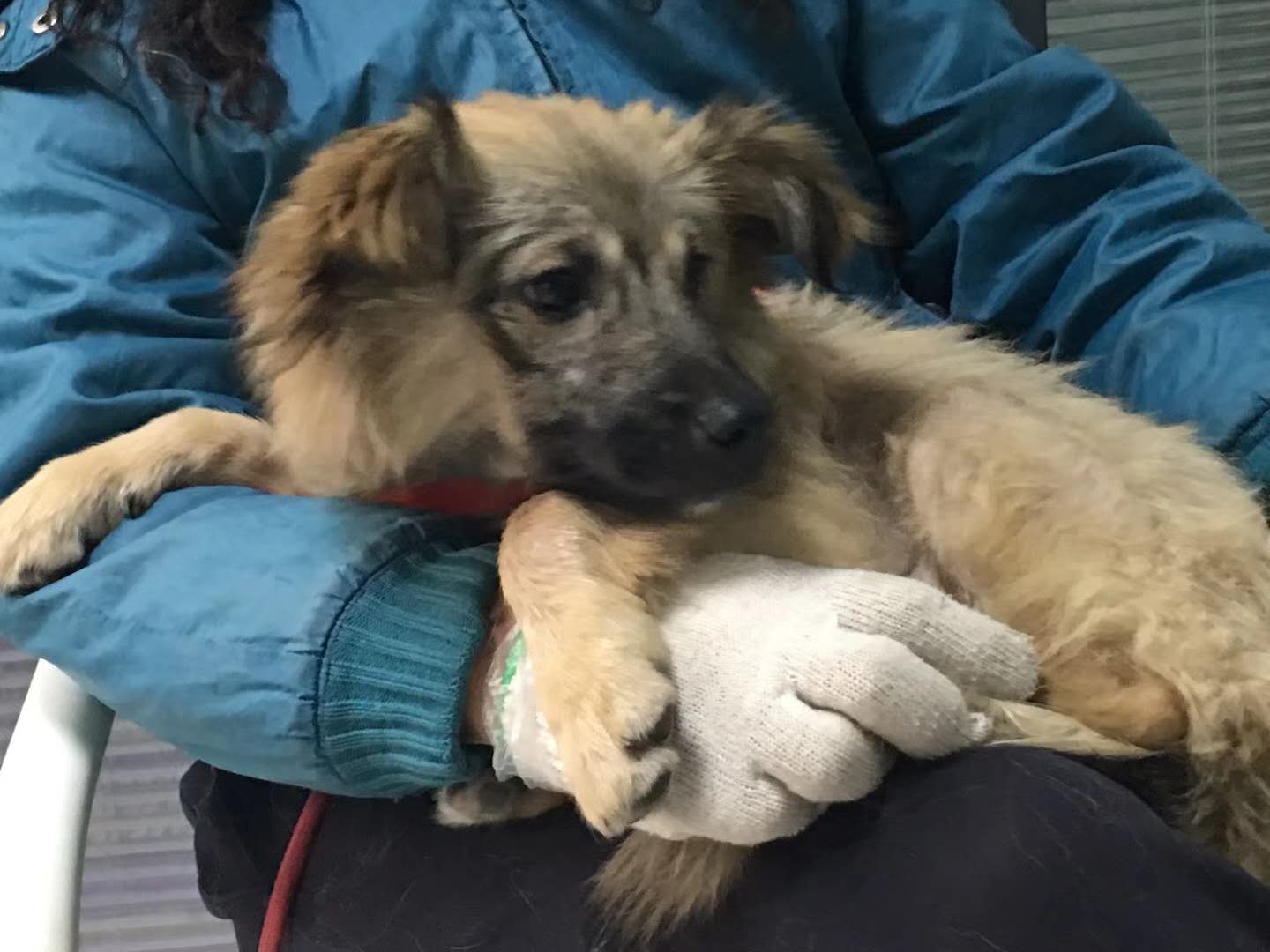 微信圖片_20180105160951.jpg