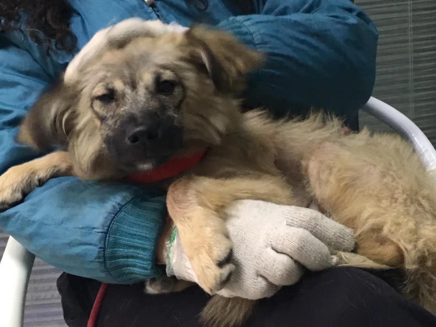 微信圖片_20180105160953.jpg