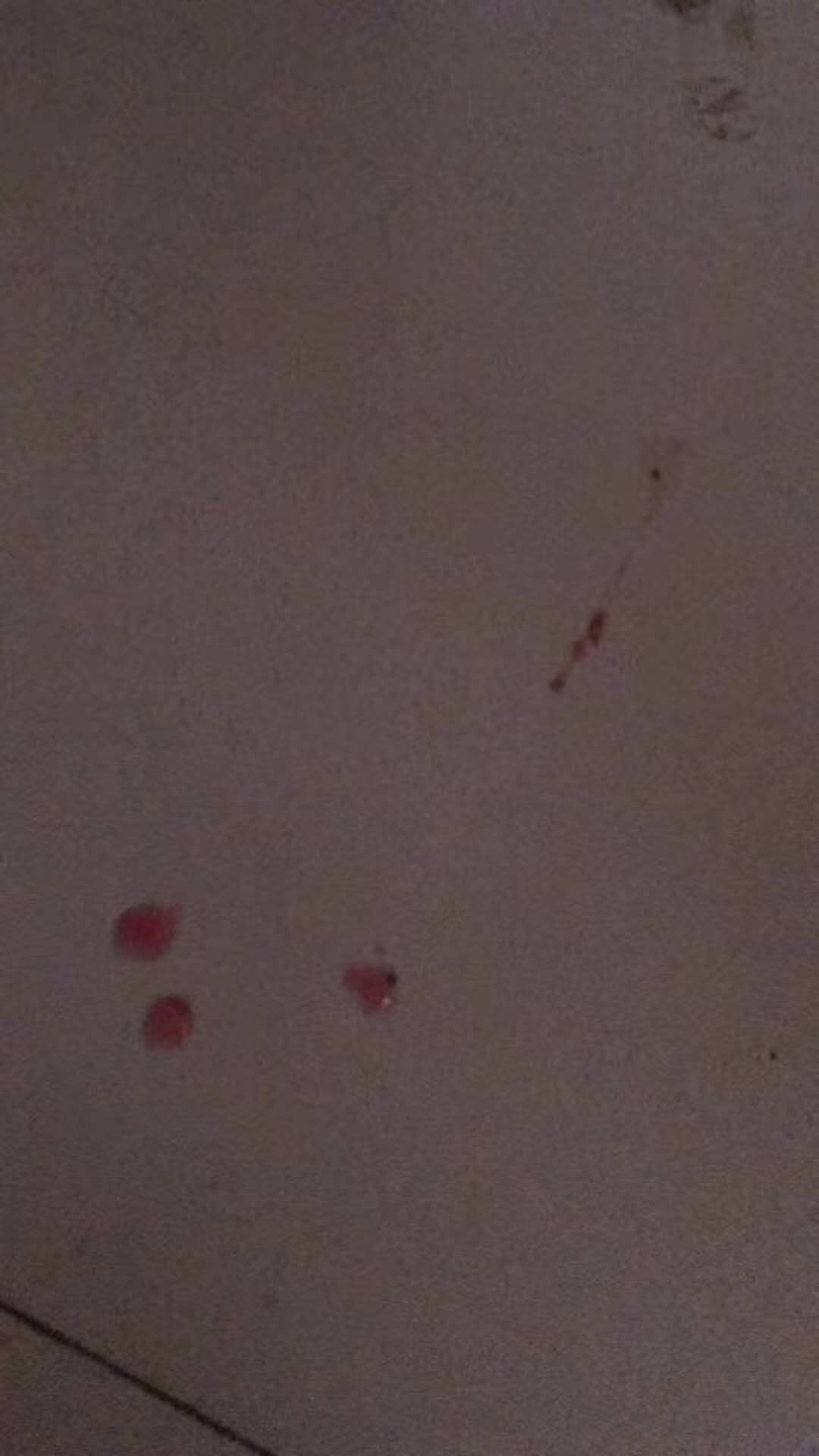 微信圖片_20180105162655.jpg