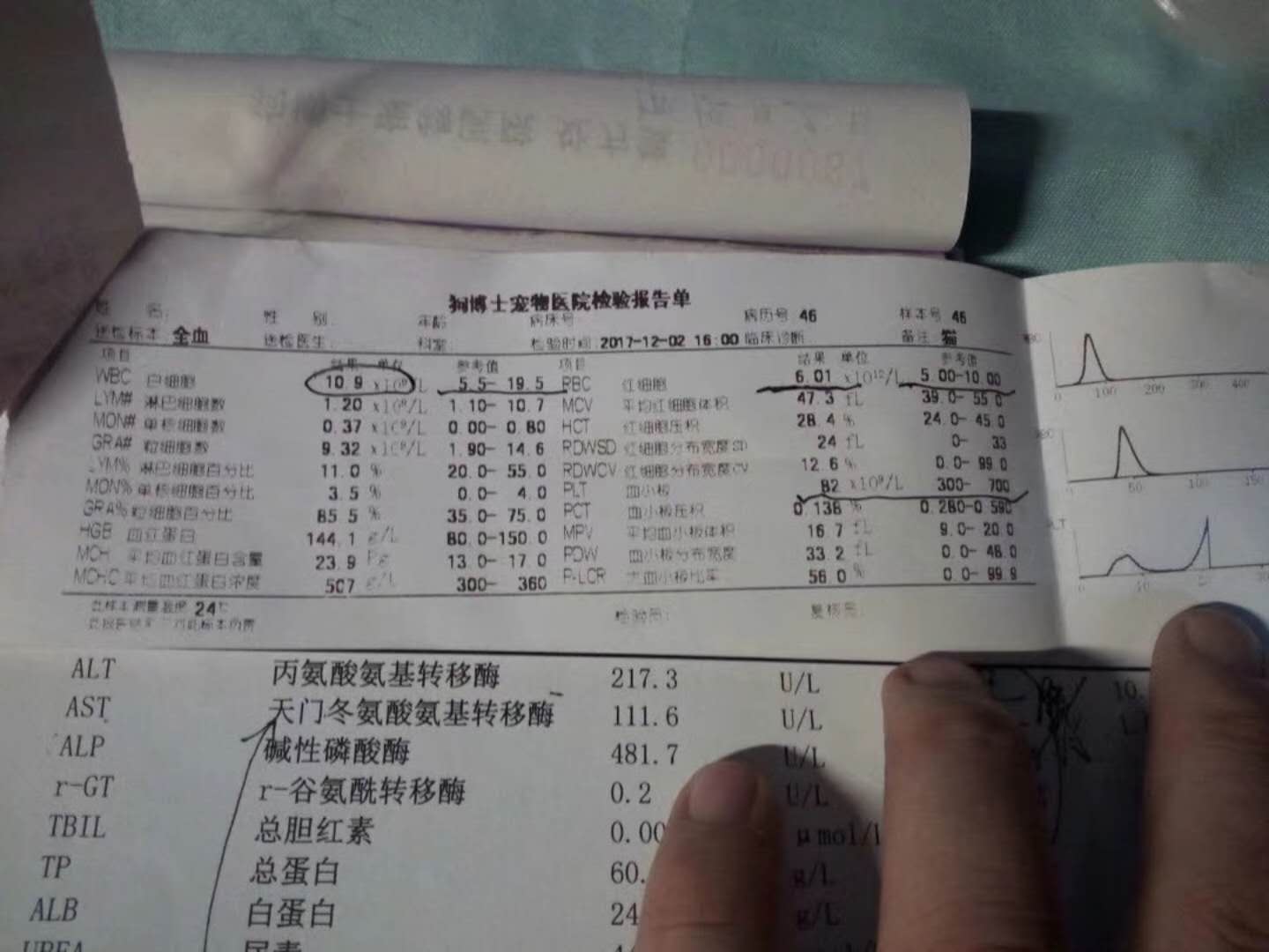 微信圖片_20180106150004.jpg