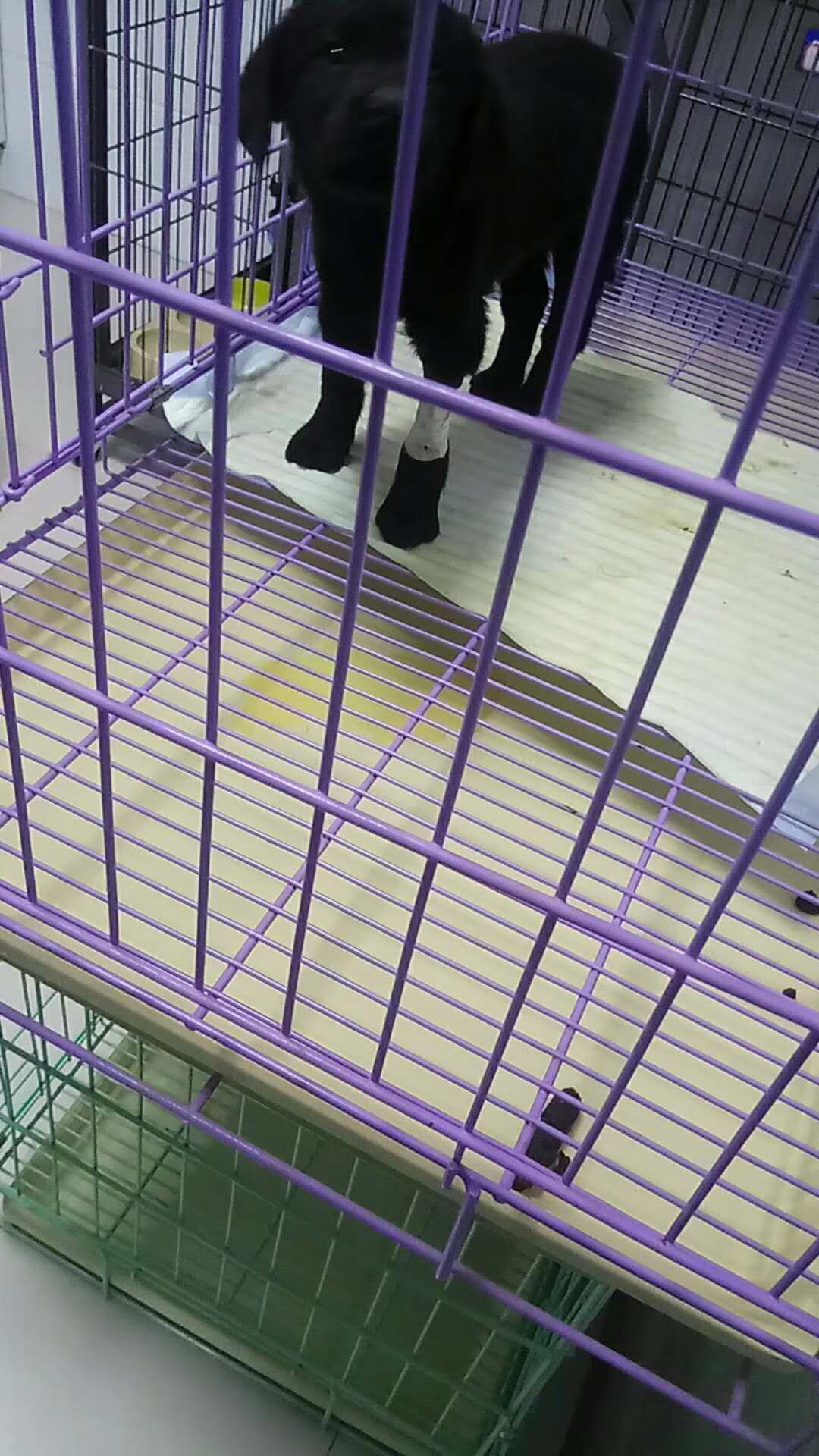 微信圖片_20180106150550.jpg