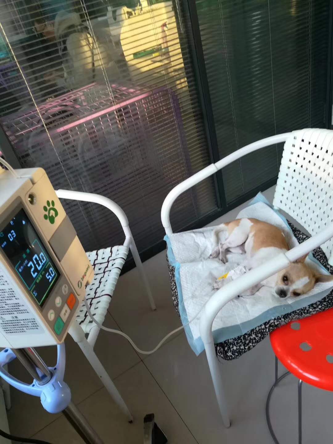 微信圖片_20180106152405.jpg
