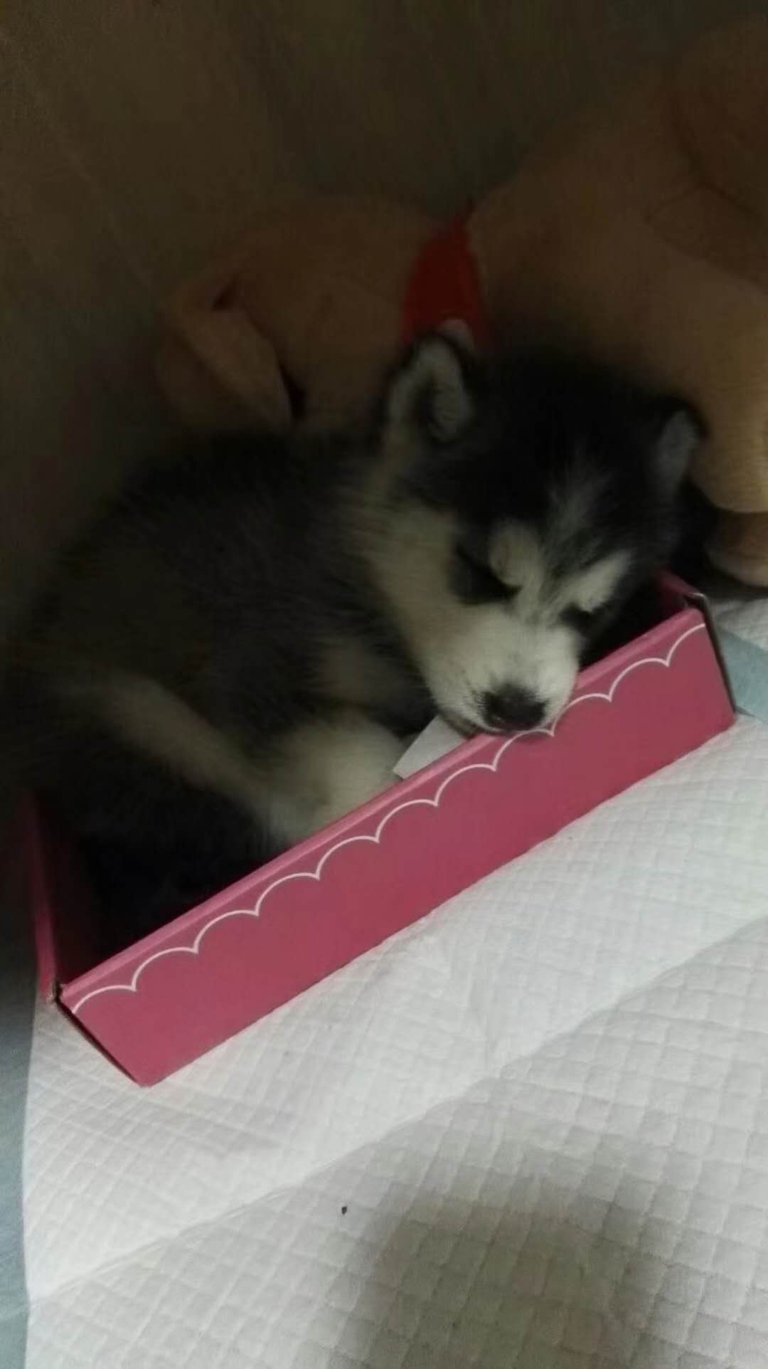 微信圖片_20180106153622.jpg
