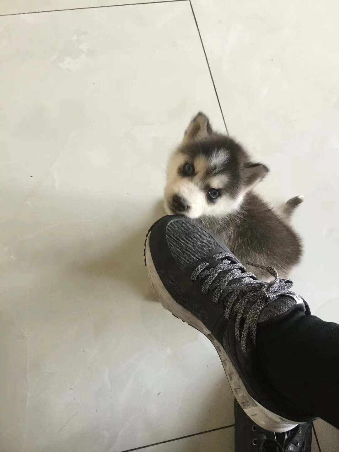 微信圖片_20180106153625.jpg