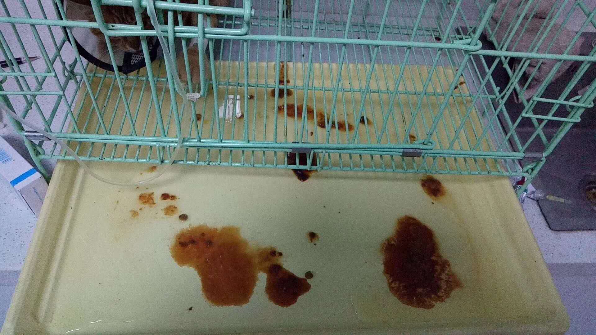 微信圖片_20180106154125.jpg