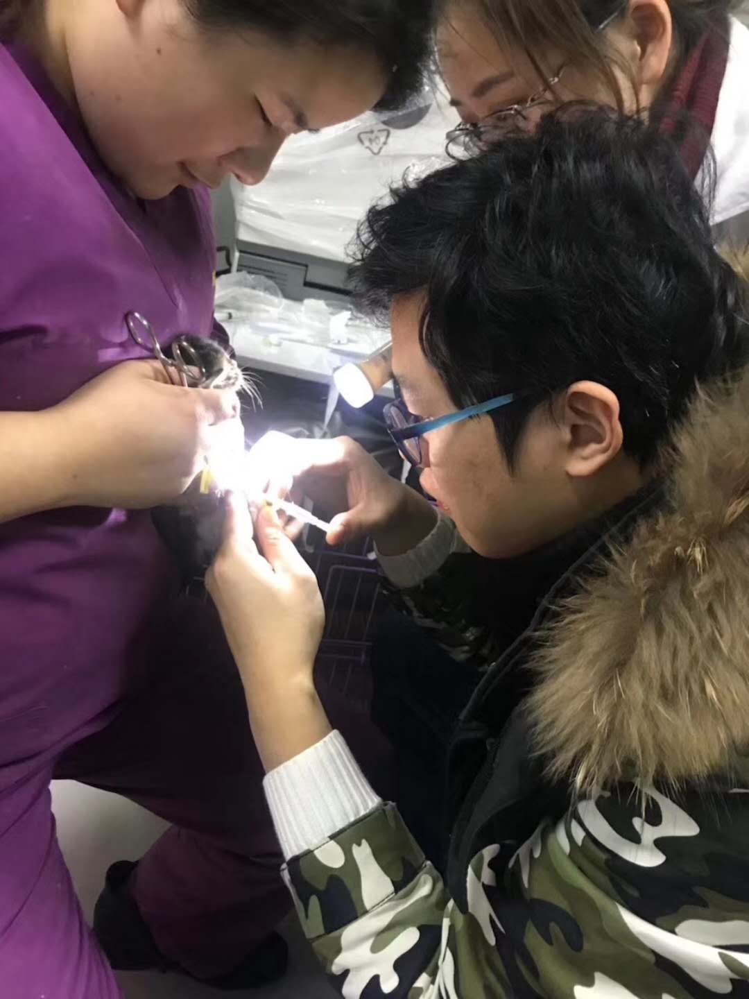 微信圖片_20180107142826.jpg