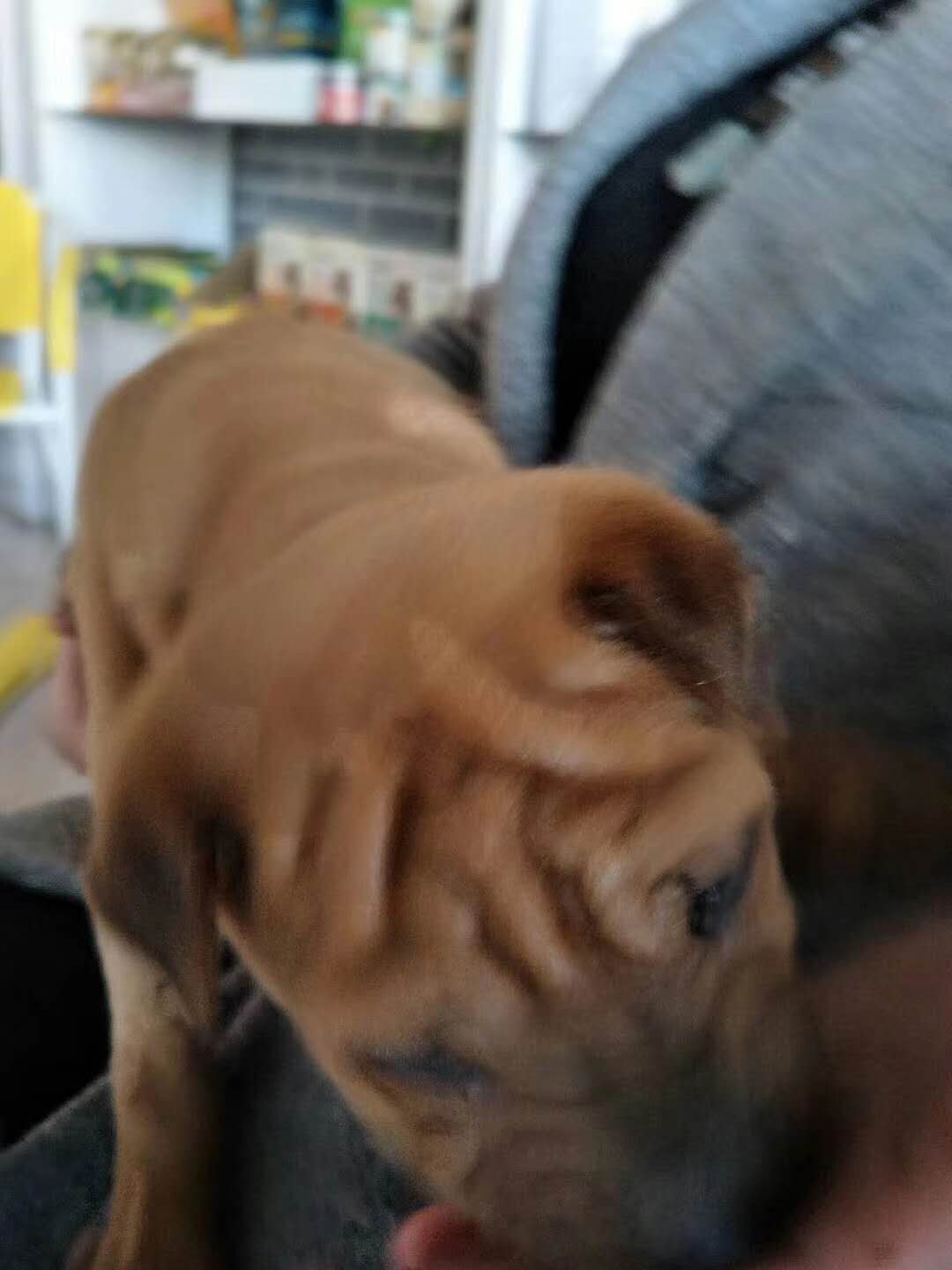 微信圖片_20180107143332.jpg