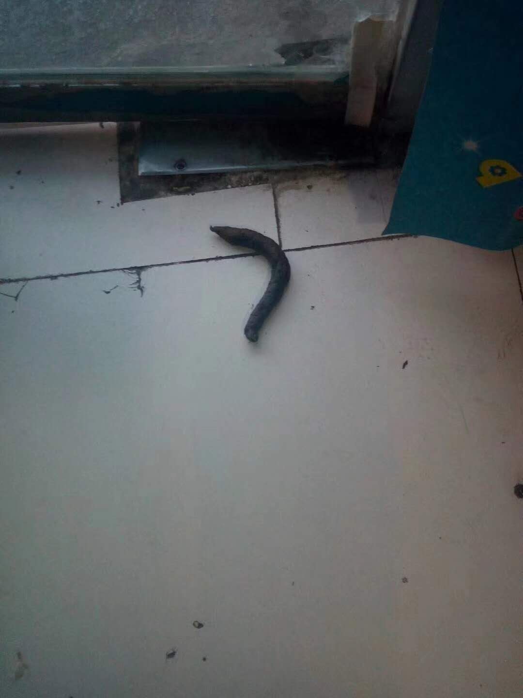 微信圖片_20180107143640.jpg