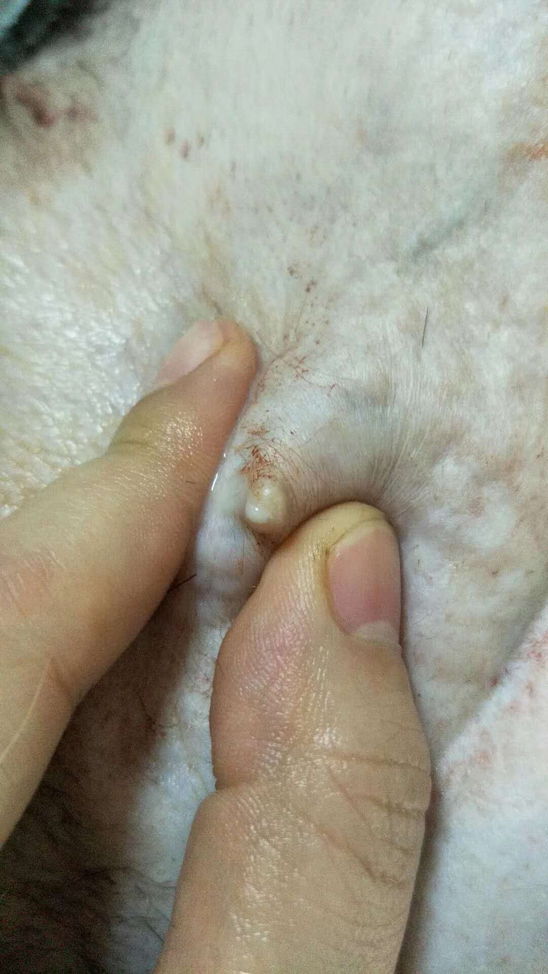 微信圖片_20180107145932.jpg