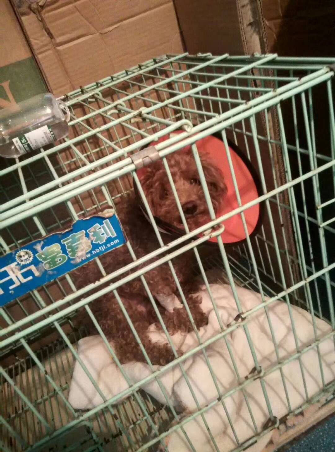微信圖片_20180109181130.jpg