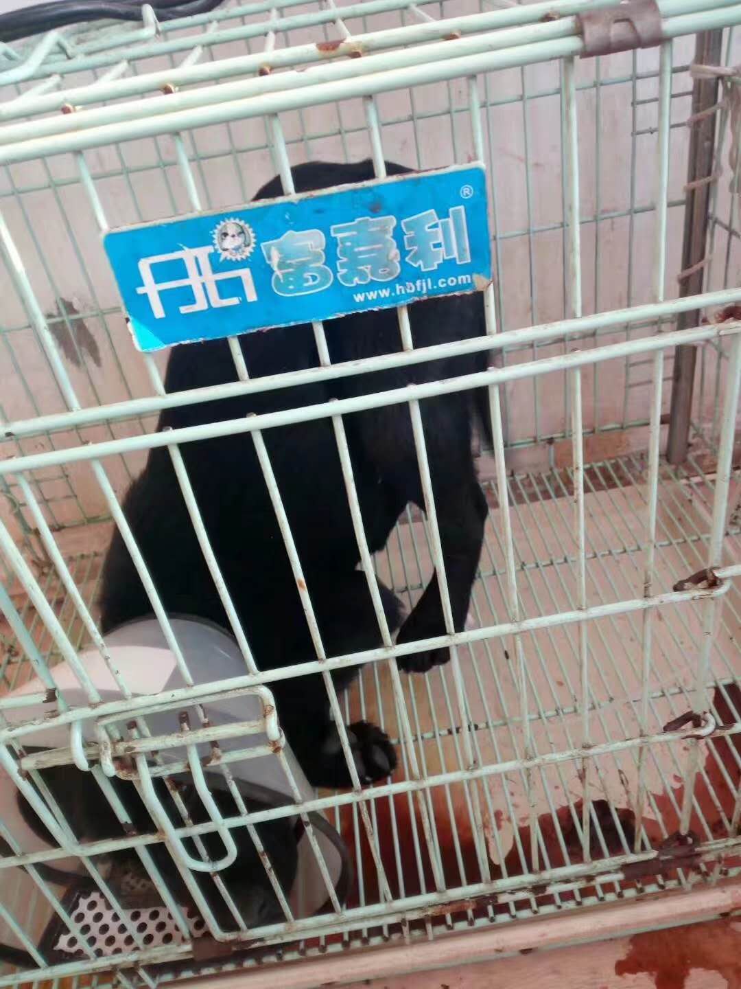 微信圖片_20180109182253.jpg