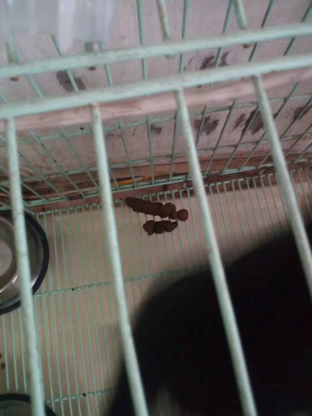 微信圖片_20180109182300.jpg