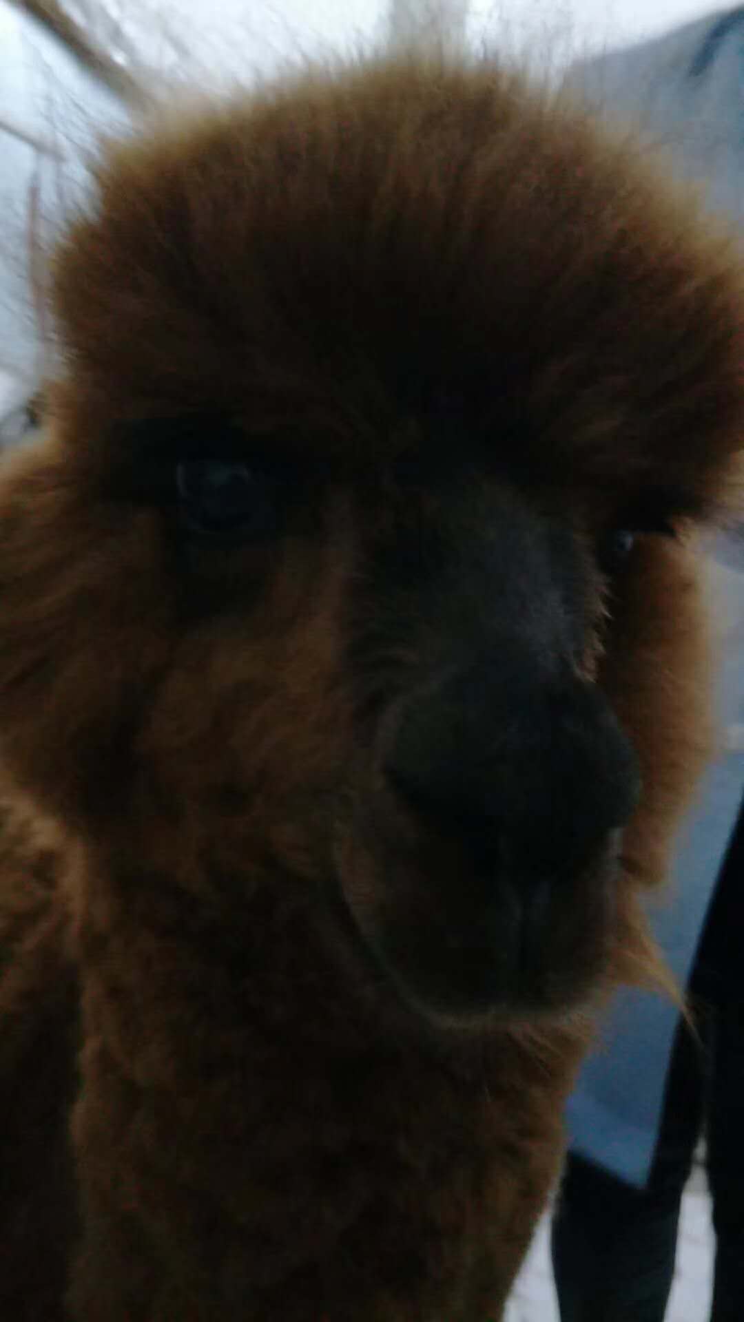 微信圖片_20180110115926.jpg