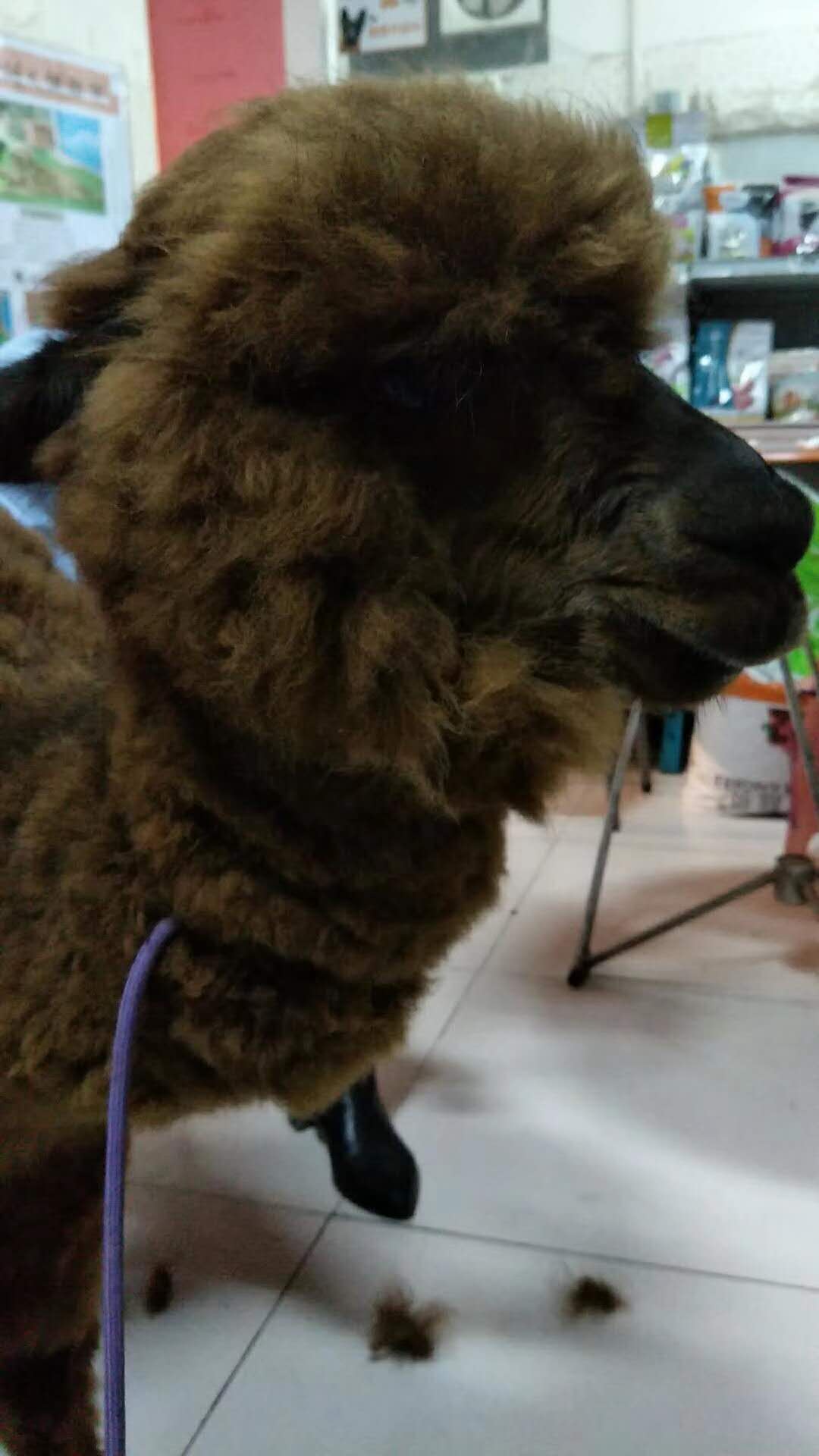 微信圖片_20180110115927.jpg