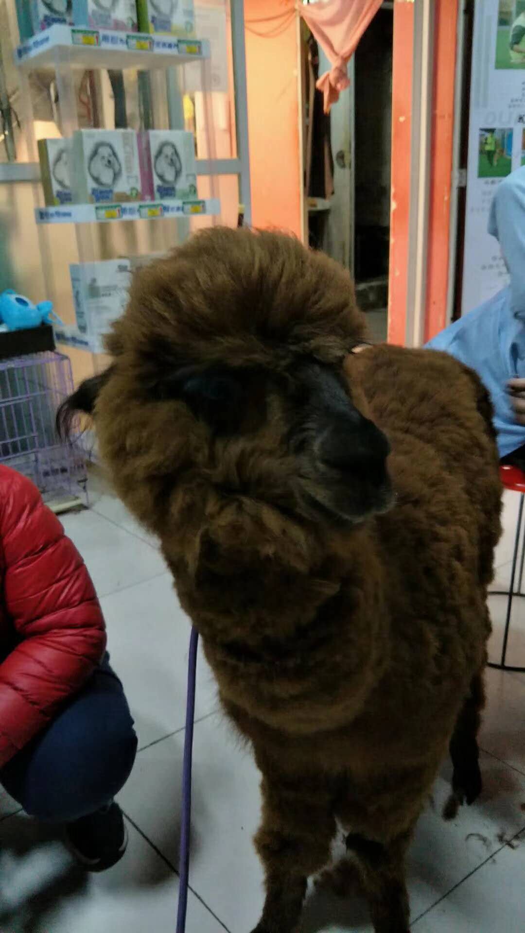 微信圖片_20180110115929.jpg
