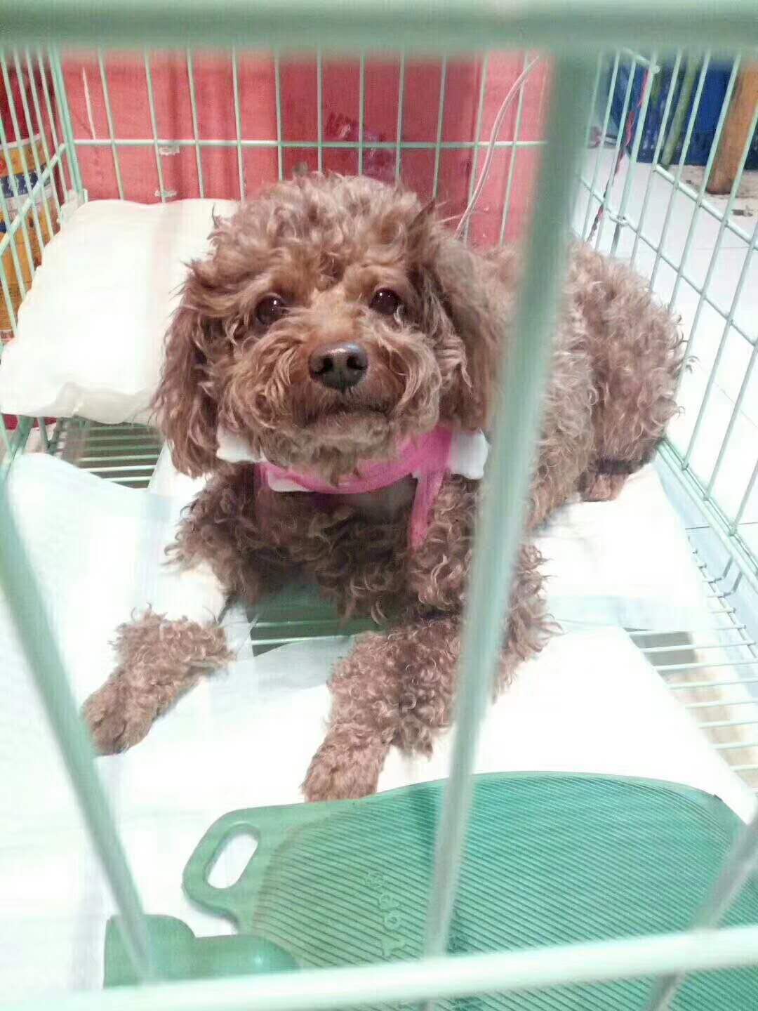 微信圖片_20180110121046.jpg