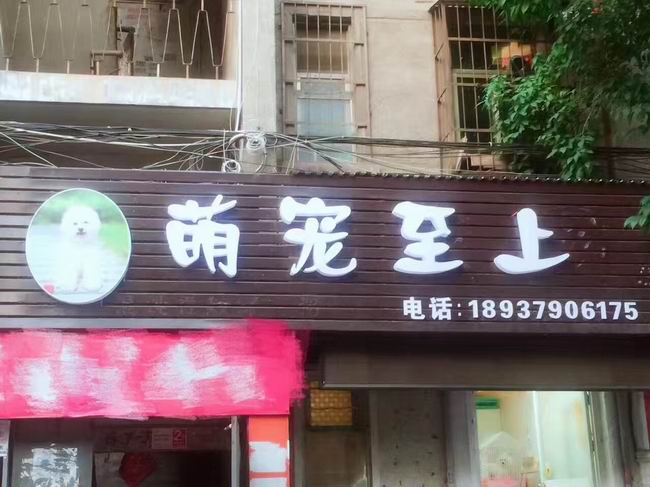 洛陽學員畢業(yè)后創(chuàng)業(yè)開店
