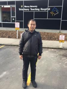 赴新西蘭梅西大學獸醫(yī)教學醫(yī)院學習